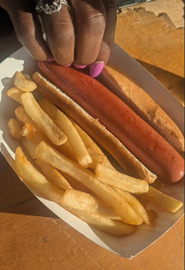 Hot dog and fries