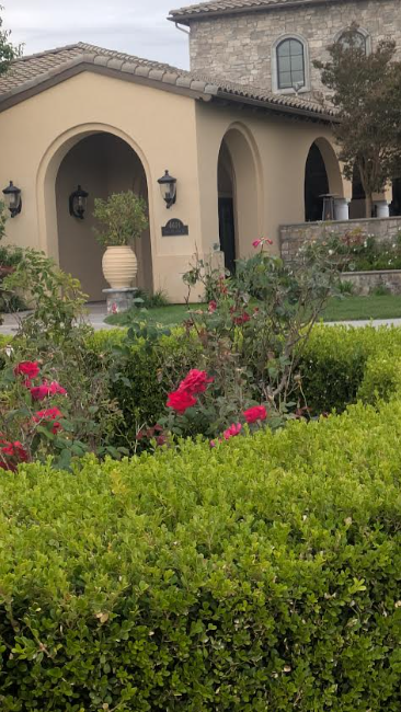 Front yard